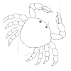 Crab